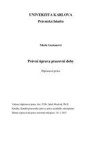 Náhled dokumentu