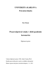 Náhled dokumentu