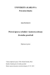Náhled dokumentu