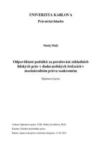 Náhled dokumentu