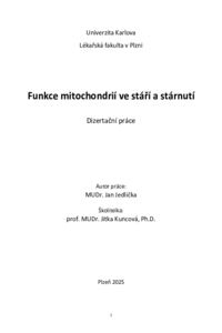 Náhled dokumentu