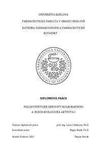 Document thumbnail