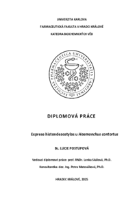 Document thumbnail