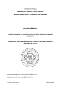 Document thumbnail