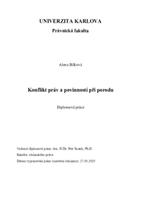 Náhled dokumentu