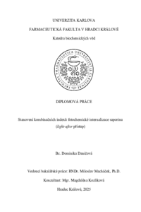 Náhled dokumentu
