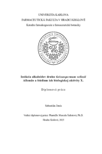 Náhled dokumentu