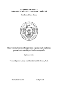 Náhled dokumentu