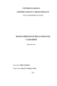Náhled dokumentu