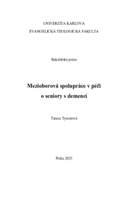 Náhled dokumentu