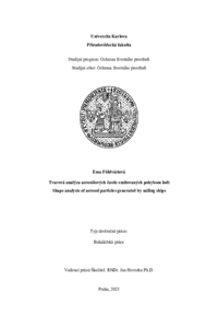 Document thumbnail