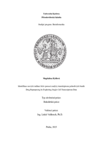 Document thumbnail