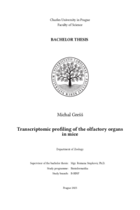 Document thumbnail