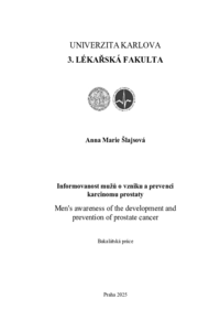 Document thumbnail