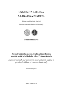 Náhled dokumentu