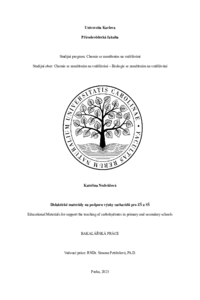 Document thumbnail