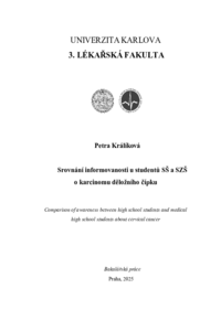 Document thumbnail