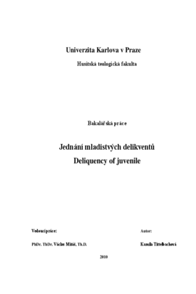 Náhled dokumentu