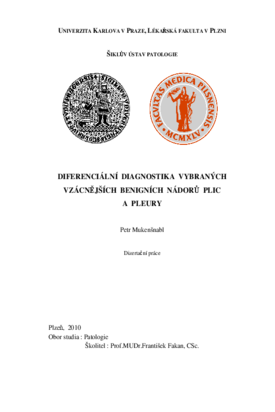 Náhled dokumentu
