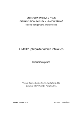 Náhled dokumentu
