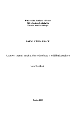 Document thumbnail