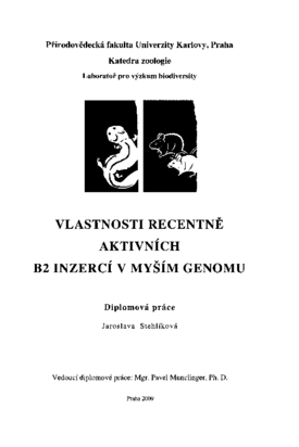 Document thumbnail