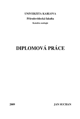 Náhled dokumentu