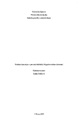 Document thumbnail