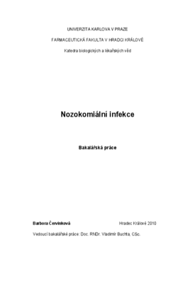 Náhled dokumentu