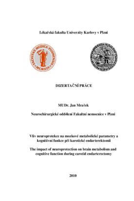 Náhled dokumentu