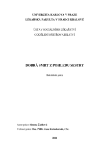 Náhled dokumentu