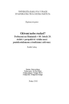 Náhled dokumentu