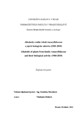 Náhled dokumentu