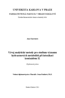 Náhled dokumentu
