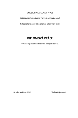 Náhled dokumentu