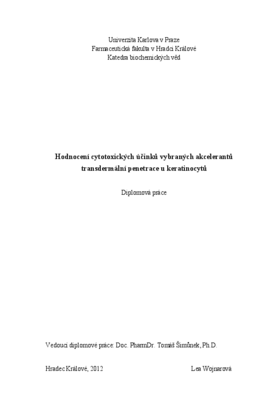 Náhled dokumentu
