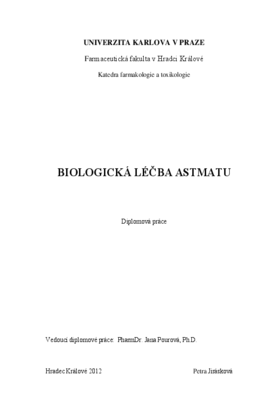 Náhled dokumentu