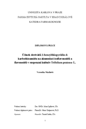Náhled dokumentu