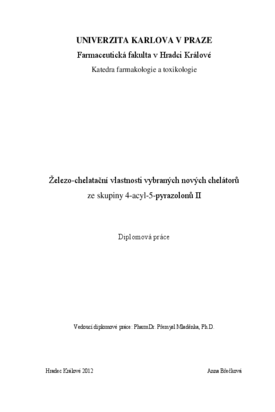 Náhled dokumentu