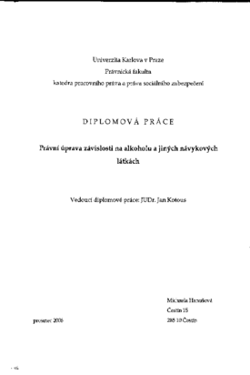 Náhled dokumentu