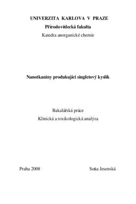Náhled dokumentu
