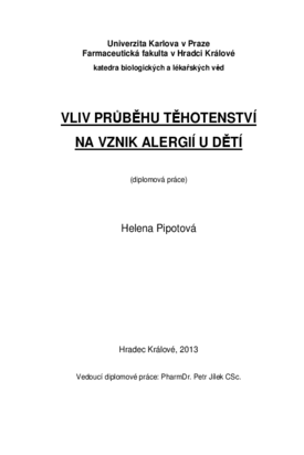 Náhled dokumentu