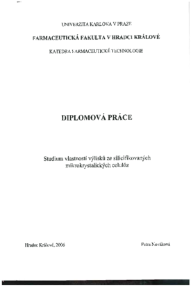 Náhled dokumentu
