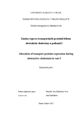 Document thumbnail