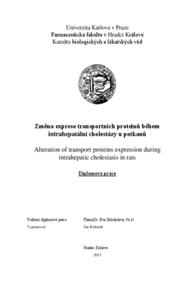 Náhled dokumentu