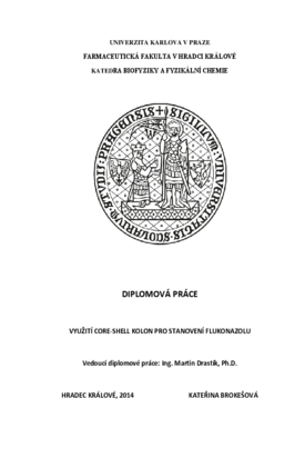 Náhled dokumentu