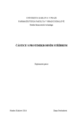 Náhled dokumentu
