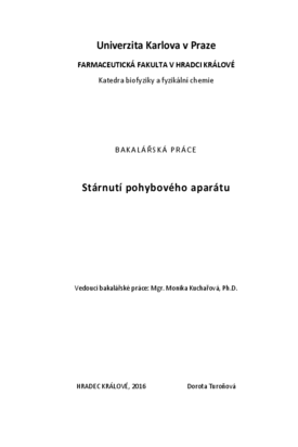 Náhled dokumentu