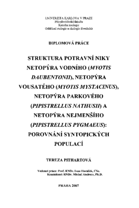 Náhled dokumentu