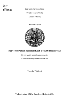 Document thumbnail